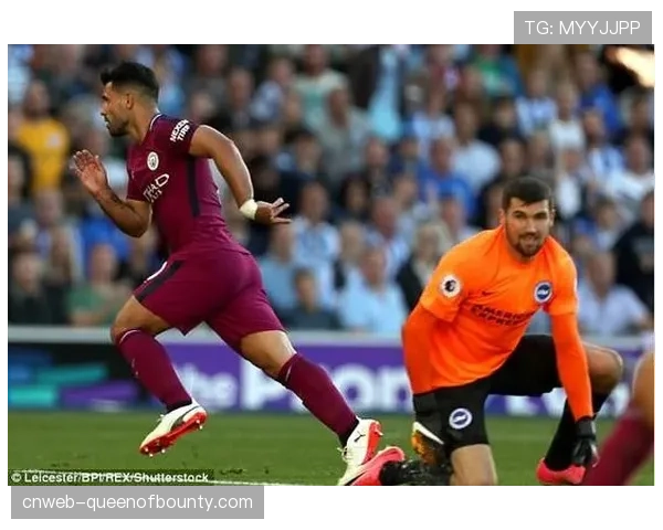 报道：伯恩茅斯扩建主场训练基地，新建专用区域用于模拟防守站位演练